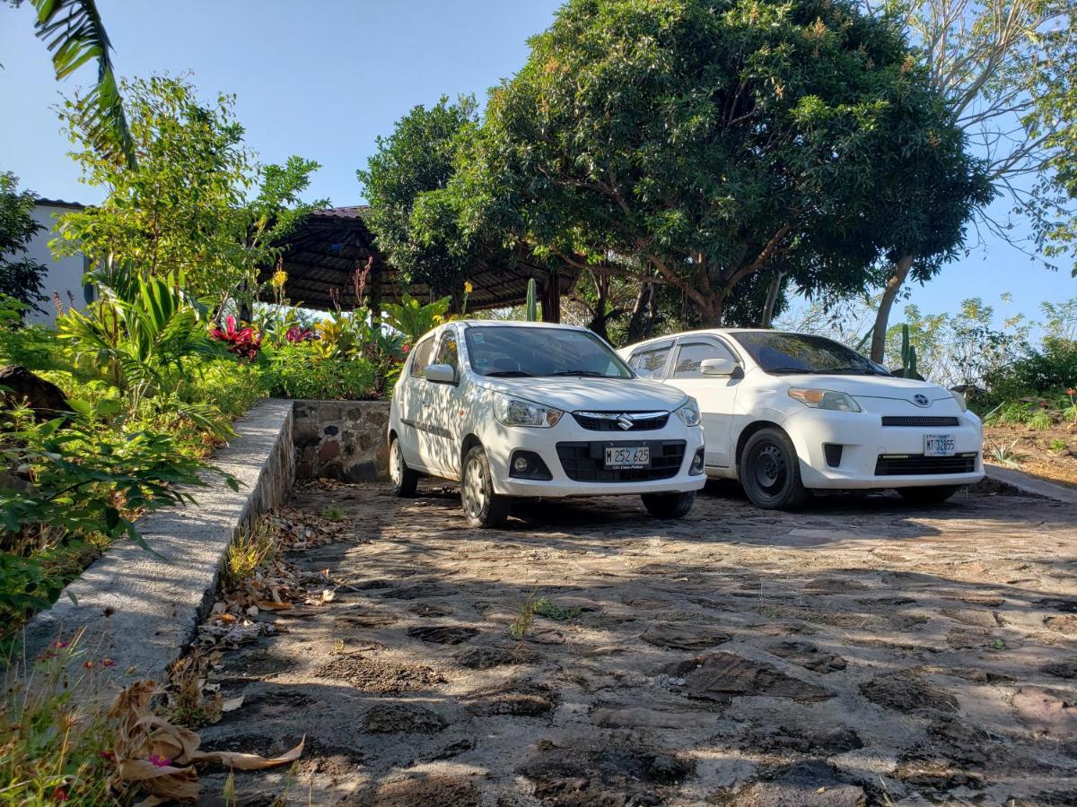 The Jungle Villa Mérida Dış mekan fotoğraf