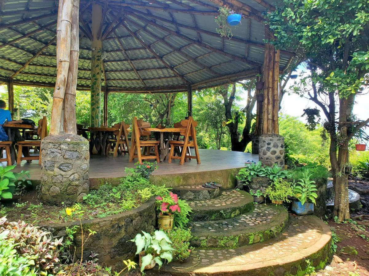 The Jungle Villa Mérida Dış mekan fotoğraf