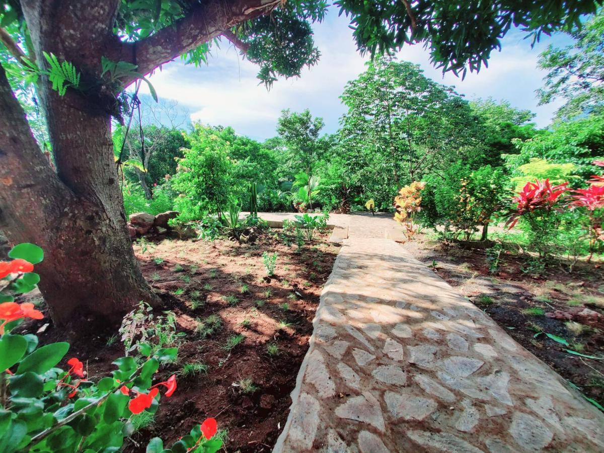 The Jungle Villa Mérida Dış mekan fotoğraf
