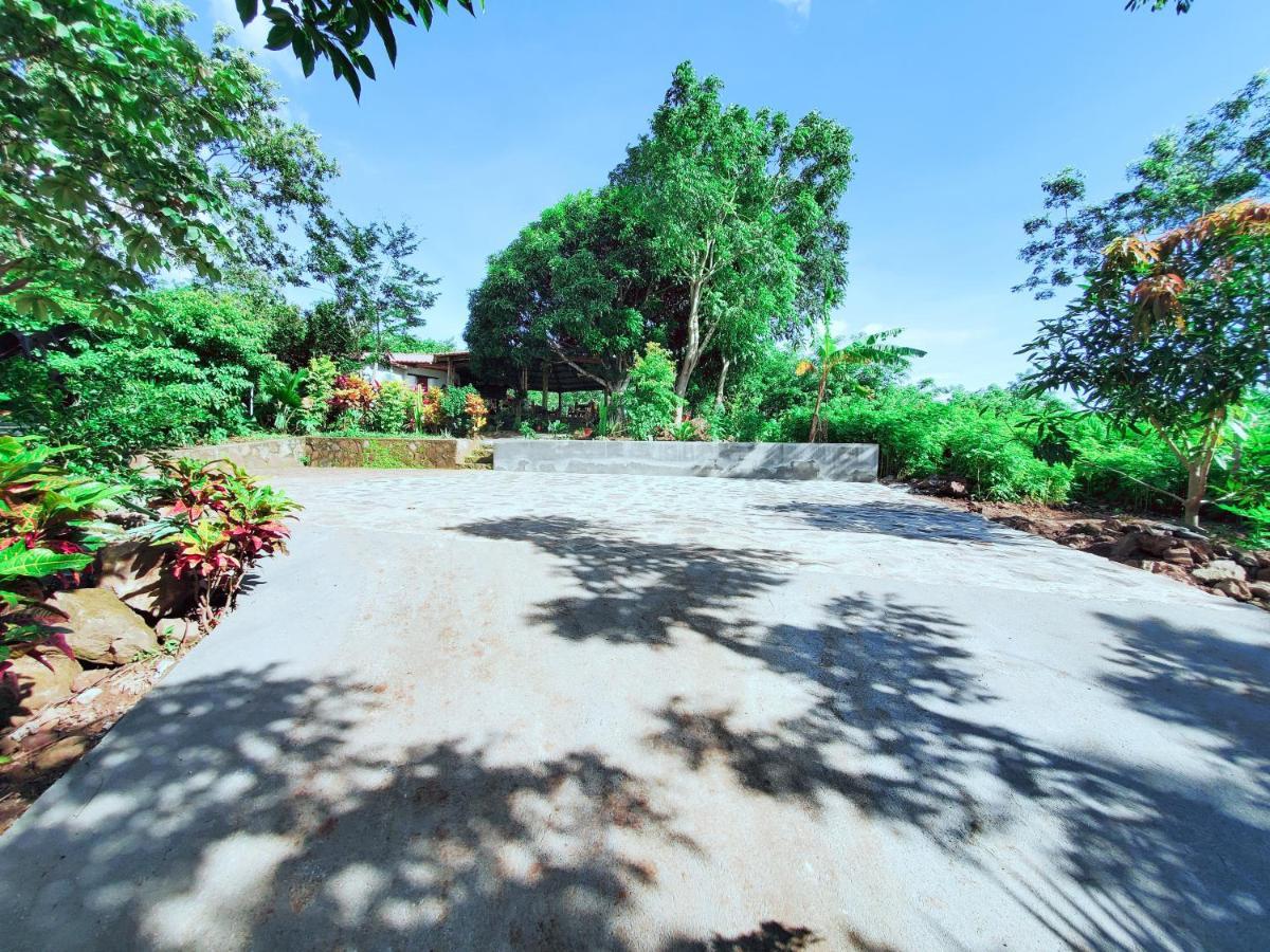The Jungle Villa Mérida Dış mekan fotoğraf
