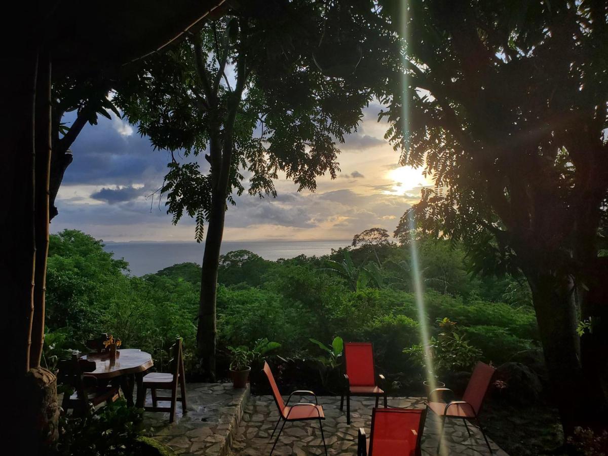 The Jungle Villa Mérida Dış mekan fotoğraf