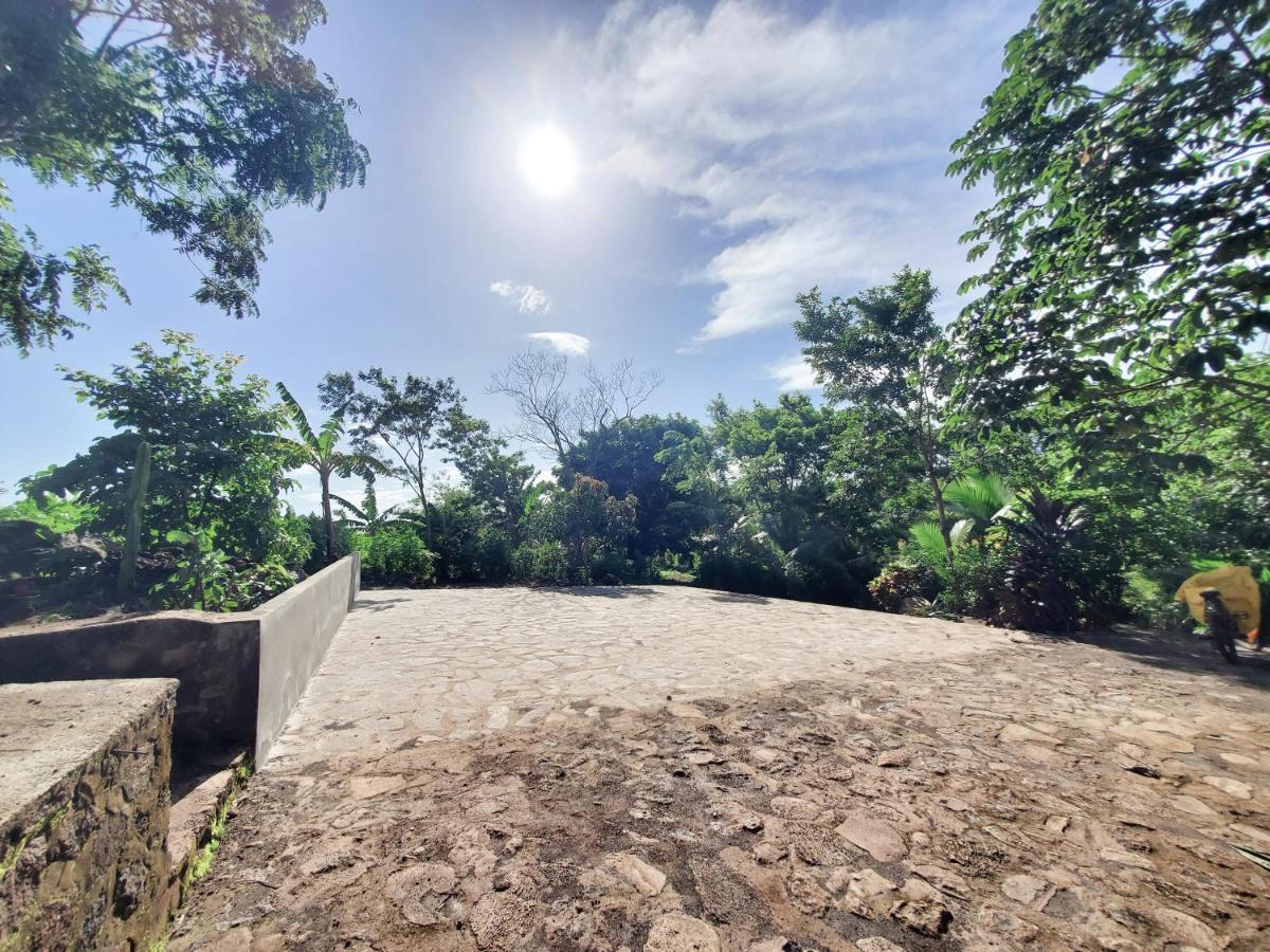 The Jungle Villa Mérida Dış mekan fotoğraf