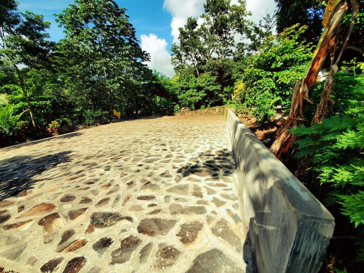The Jungle Villa Mérida Dış mekan fotoğraf