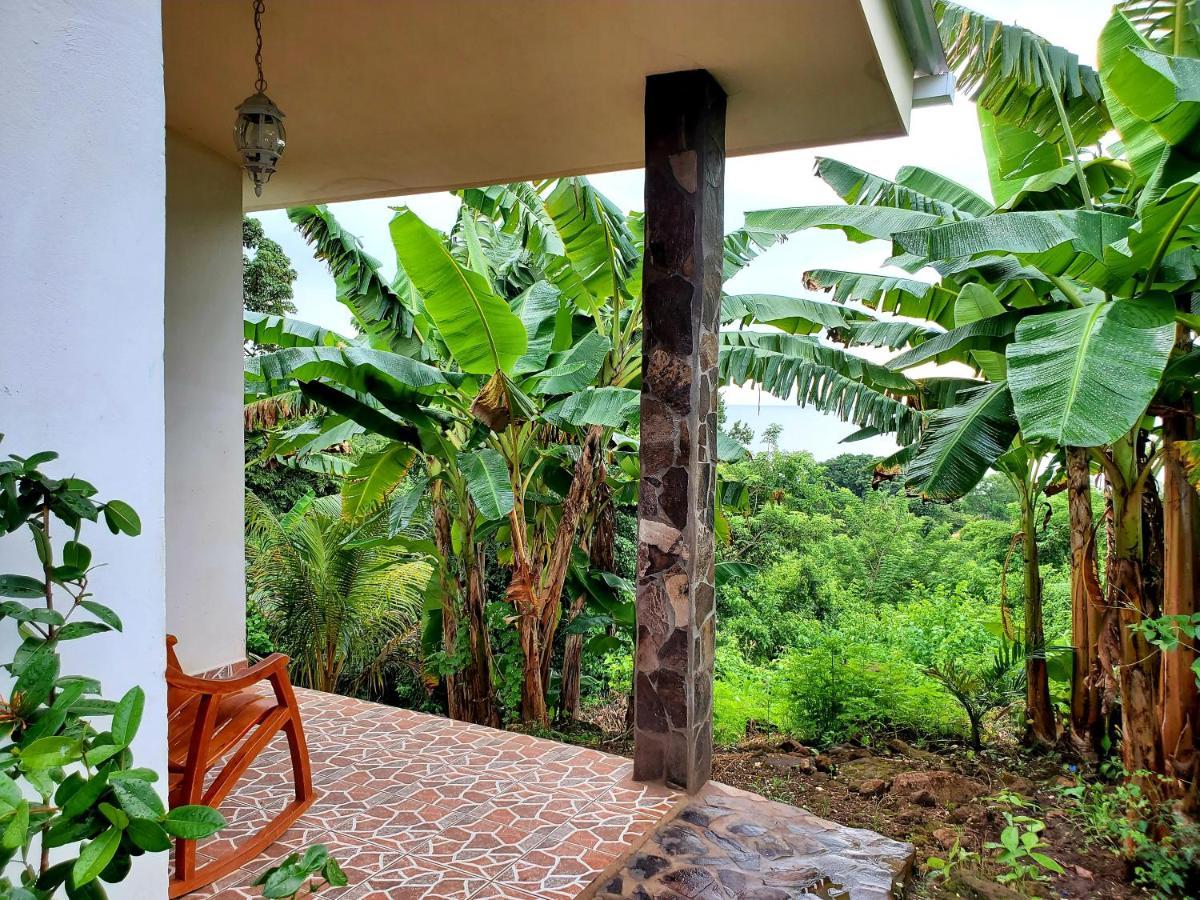 The Jungle Villa Mérida Dış mekan fotoğraf