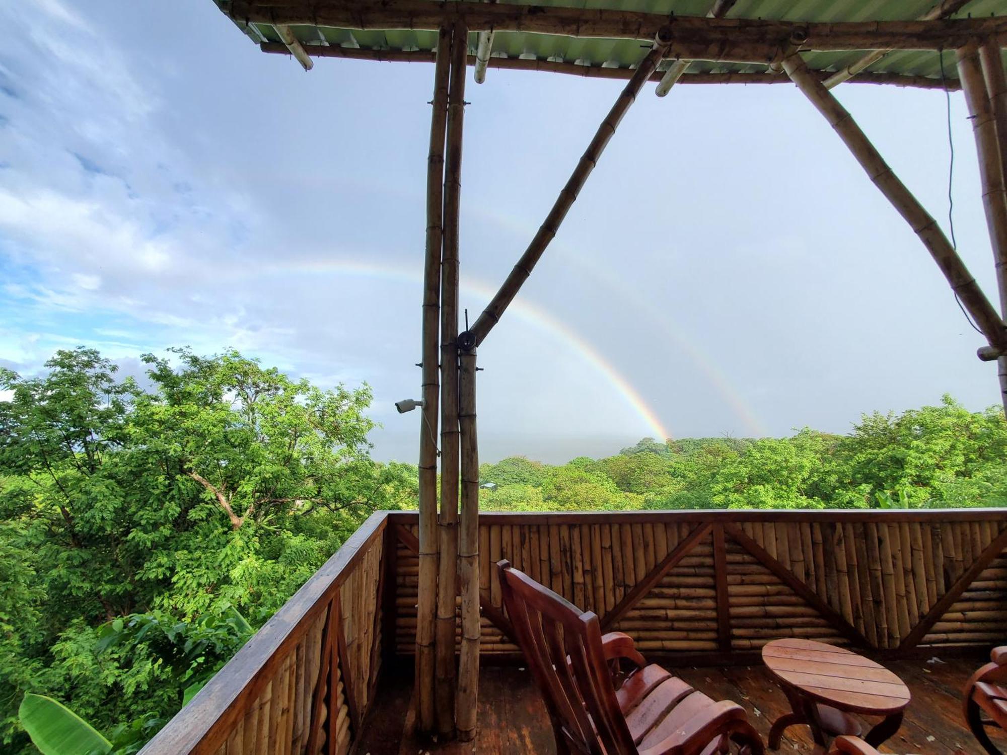 The Jungle Villa Mérida Dış mekan fotoğraf