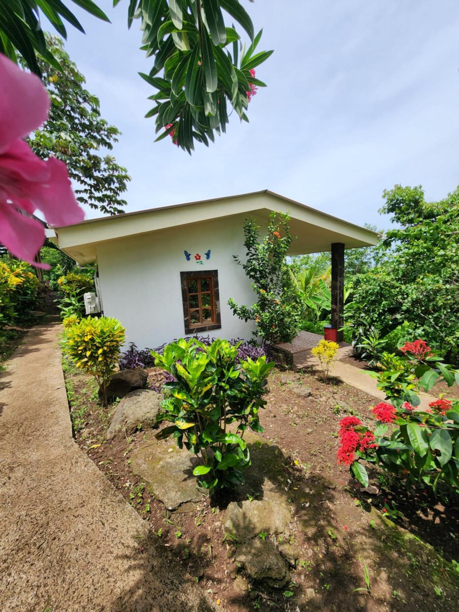 The Jungle Villa Mérida Dış mekan fotoğraf