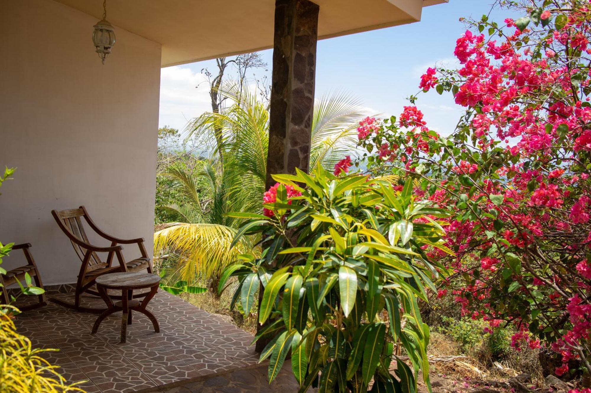 The Jungle Villa Mérida Dış mekan fotoğraf